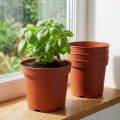 Plant pot plastic inner pot Ø15cm 10pcs | Floristik24.ie