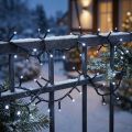 LED rice light chain 40s 3m for outside cold white | Floristik24.ie
