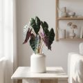 Alocasia arrow leaf green, violet artificial plant H48cm | Floristik24.ie