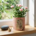Flower pot decorative can salmon metal planter Ø15.5cm H15cm | Floristik24.ie