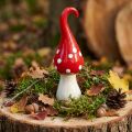 Deco Fly Agaric Ceramic Deco Mushroom Red White Ø6.5cm H21cm | Floristik24.ie
