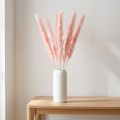 Pampas grass decoration, dried pampas grass pink 72cm 6 pcs | Floristik24.ie