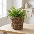 Plant basket with vine-like design, decorative for flower pots and table decorations | Floristik24.ie