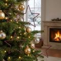 Large decorative stars for hanging, 24cm, berry glitter, Christmas decoration, set of 6 | Floristik24.ie