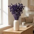 Phalaris Violet Dried Decorative Grass 50-55cm 100g | Floristik24.ie