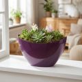 Plant boat decorative bowl purple 20×9cm H12cm | Floristik24.ie