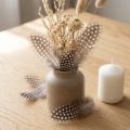 Guinea fowl feathers 10g Light brown | Floristik24.ie