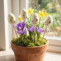 Easter eggs plastic Easter decoration plant plugs H6cm 12 pieces | Floristik24.ie