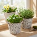 Bark-look plant pot, ideal for rustic interior design and plant decoration, 12cm, 4 pieces | Floristik24.ie