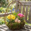 Wire basket, metal planter, spring decoration, Easter basket, brown, rust finish, H34cm L30cm | Floristik24.ie