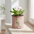 Flower pot decorative tin round antique rose metal planter Ø8cm H7.5cm | Floristik24.ie