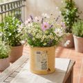 Decorative tin, apricot, metal plant pot, summer decoration, Ø15.5cm H15cm | Floristik24.ie