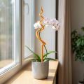 Orchid stake, plastic, orange, climbing aid for orchids, H64cm | Floristik24.ie