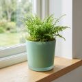 Glass flower pot green planter glass tub Ø11.5cm H11cm | Floristik24.ie