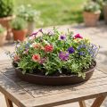Plant ring "Rondino" Ø35-55cm, 1pce | Floristik24.ie