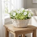 Basket with handles, chipwood basket, plant basket, white, vintage, decorative, Ø35cm | Floristik24.ie