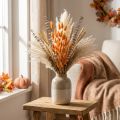Lagurus Dried Rabbit's Tail Grass Apricot Decorative Dried Flowers 55-60cm 50g | Floristik24.ie