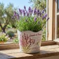 Planter plastic lavender flower pot Ø13.5cm H12cm | Floristik24.ie