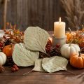Cobra leaves decoration, natural, 15-17cm, 50-piece set, green | Floristik24.ie