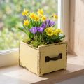 Plant drawer wooden decorative plant box yellow 12.5cm | Floristik24.ie