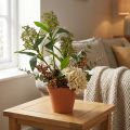 Artificial green Skimmia japonica flowers, 45cm, 2 pieces | Floristik24.ie
