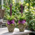 Plant pot rustic forest look planter Ø12.5cm H12cm 2pcs | Floristik24.ie