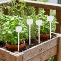 Plant label 32cm 10pcs. | Floristik24.ie