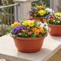 Plastic plant bowl Ø27cm round bowl terracotta 5pcs | Floristik24.ie