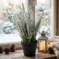 Erika white heather broom heather artificial plant H26cm | Floristik24.ie
