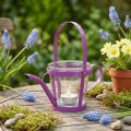 Lantern glass decoration watering can metal pink Ø14cm H13cm | Floristik24.ie