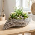 Planting boat plant wave rattan natural white 45x16cm | Floristik24.ie