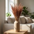 Red Bent Grass Agrostis Dry Grass Red Brown 65cm 80g | Floristik24.ie