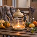 Tealight holder glass lantern teapot orange Ø15cm H26cm | Floristik24.ie