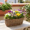 Oval planting basket, vine design, natural planting tray, 30cm long | Floristik24.ie