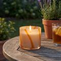 Scented candle in glass Citronella candle retro design Ø8cm H8cm | Floristik24.ie