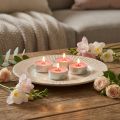Scented candles strawberry, tealight scent, room scented candle Ø3.5cm H1.5cm 18 pieces | Floristik24.ie