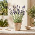 Lavender bush artificial purple 51cm | Floristik24.ie