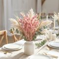 Rabbit's Tail Grass (Lagurus) Dried Light Pink 60cm 50g Dried Flower Decoration Artificial Boho Wedding | Floristik24.ie