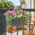 Hanging pot flower pot for hanging balcony hanging pot 30x17cm | Floristik24.ie