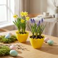 Egg cup Ø17cm 20 pcs yellow | Floristik24.ie