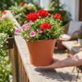 Pot “Irys” plastic terracotta Ø25cm H21cm, 1 pc | Floristik24.ie