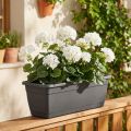 Geranium bush white 38cm | Floristik24.ie