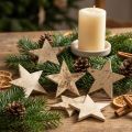 Coconut star nature 5cm 50pcs Christmas decoration table decoration | Floristik24.ie