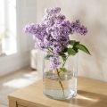 Glass vase clear cylindrical Ø12cm H20cm | Floristik24.ie