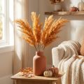 Artificial Pampas Grass Orange Dried Grasses 35cm 4pcs | Floristik24.ie