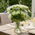 Dill blooming, artificial herbs, decorative plant green, white 49cm 9pcs | Floristik24.ie