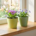 Paper pot, mini plant pot, cachepot blue/green Ø9cm H7.5cm 4pcs | Floristik24.ie