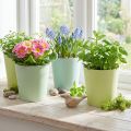 Paper pot, cachepot, planter blue/green Ø11cm H10cm 4pcs | Floristik24.ie