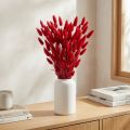 Rabbit's Tail Grass (Lagurus) Dried Red 60cm 50g Dried Flower Decoration | Floristik24.ie