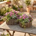 Plant box flower pot wood bark L23/29.5cm set of 2 | Floristik24.ie